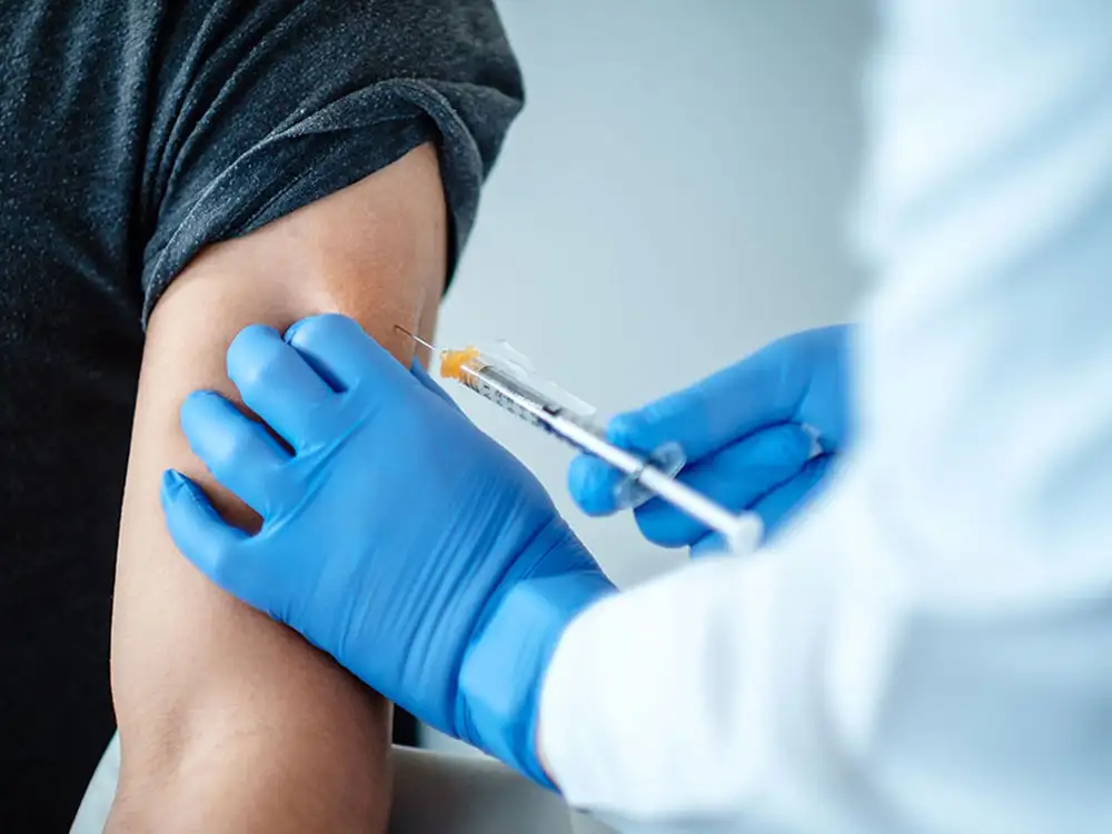 The York Brief - Monday, November 24, 2025