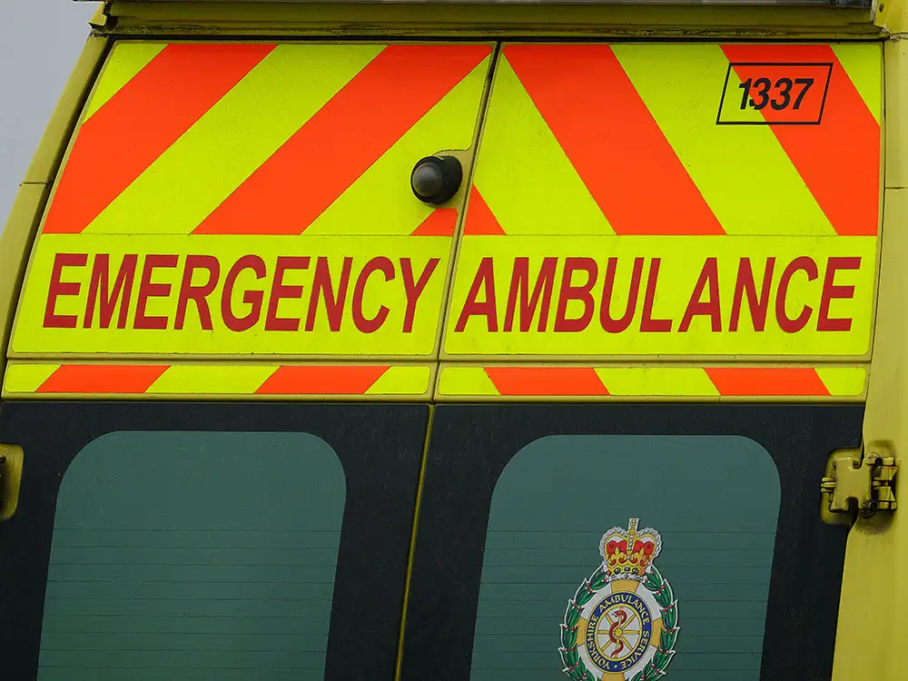 THE YORK BRIEF ⏰Friday, November 7, 2025