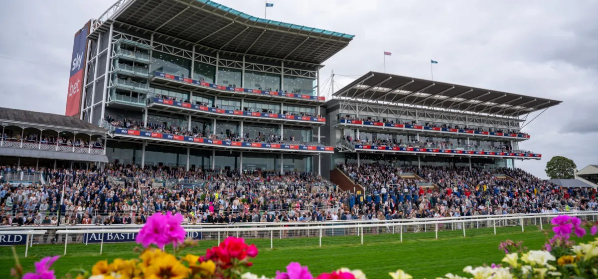 THE YORK BRIEF ⏰Tuesday, February 10, 2026